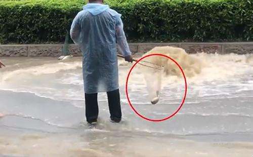 輸送帶廠家：廣州雨后內澇嚴重，路人當街捕魚